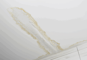 Ceiling Water Damage: What Is It and How Vancouver Homeowners Can Fix It