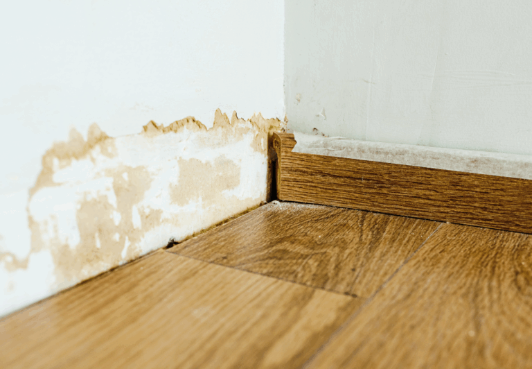 Water Damage in Wall: Ultimate Guide for Washington State Homeowners