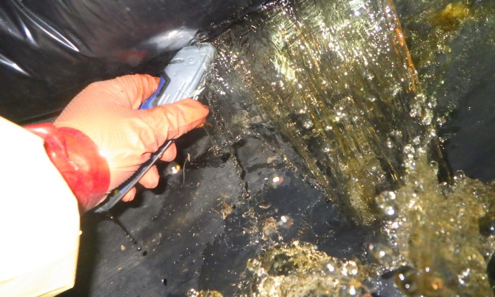 crawlspace-website-4-1